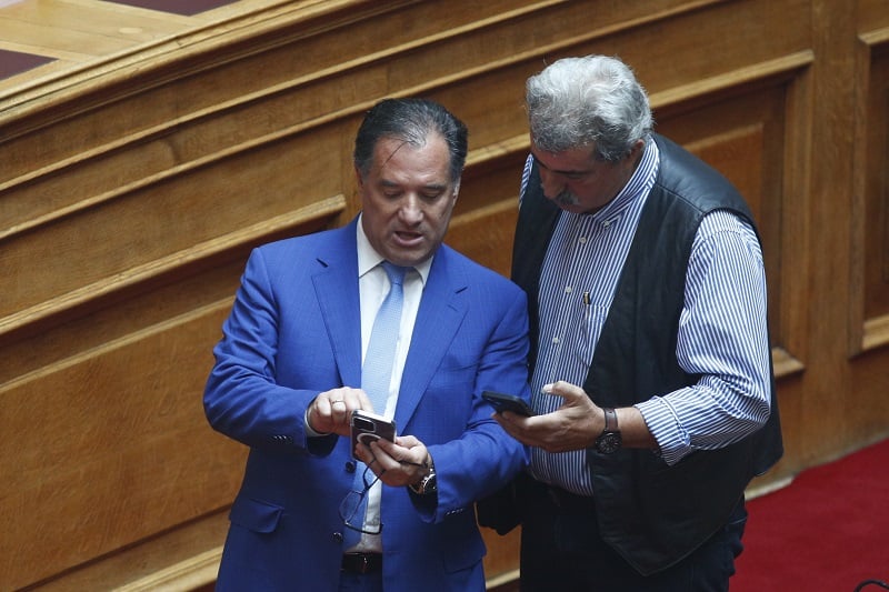 New against the House between Adonis Georgiadis and Pavlos Polaki