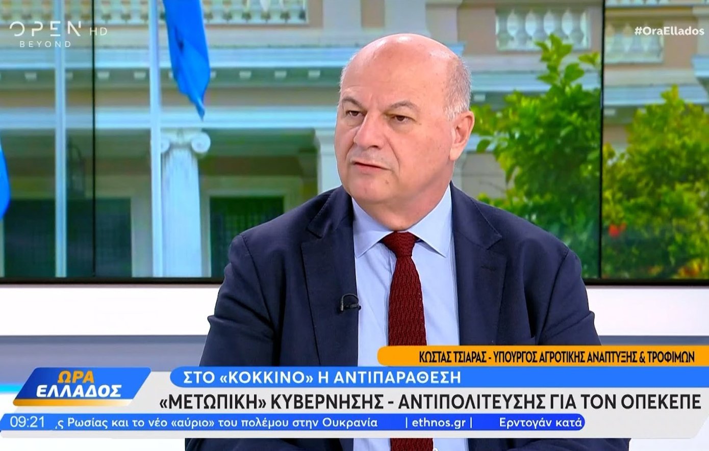 Tsiaras: If needed there will be seizures – the money received illegally will be returned