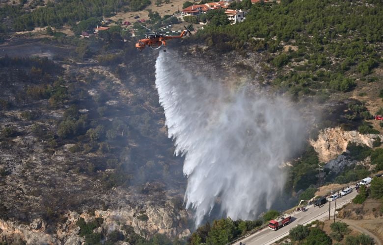 Σε ύφεση η φωτιά στα Σπάτα – Σε γενική επιφυλακή η Πυροσβεστική σε Αττική και Βοωτία