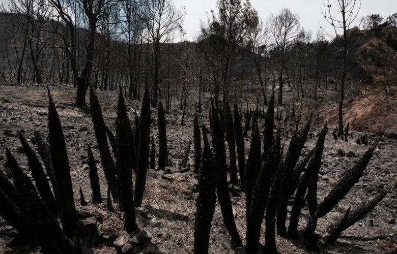Κάηκαν 45.000 στρέμματα κοντά στη Σαραγόσα – Η φωτιά καίει και θα χρειαστεί «μέρες για να τεθεί υπό έλεγχο»