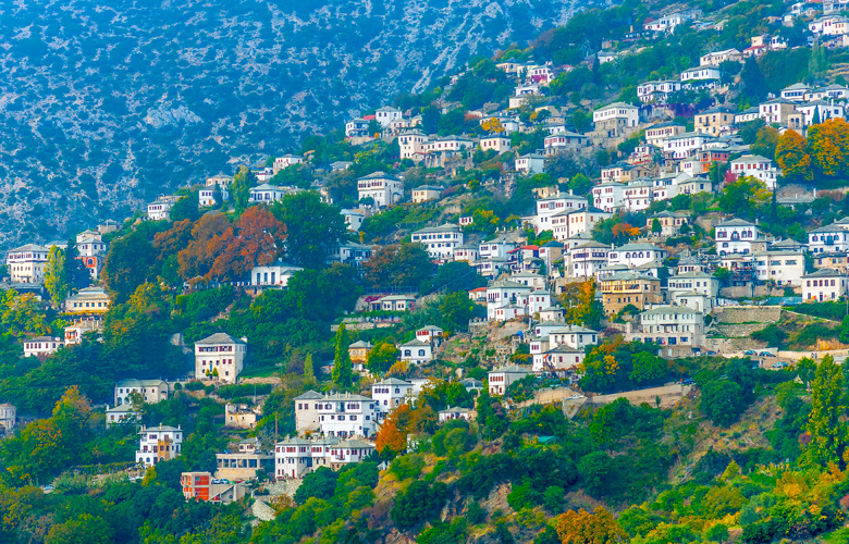 Πορταριά γενική εικόνα χωριού